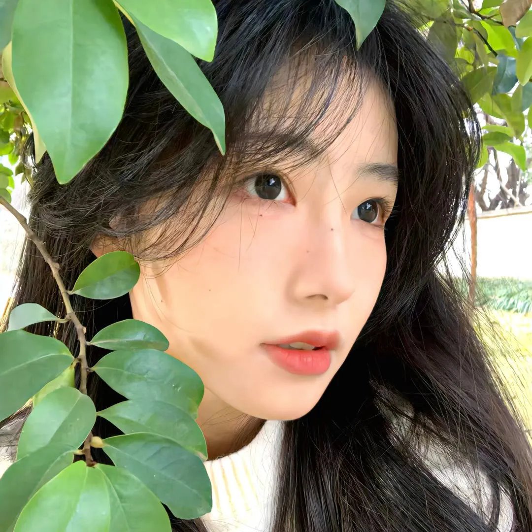 命运拳台